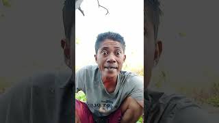 Desiljombang kates mateng part 2 lucu comedyterbaru comedy [upl. by Agarhs]