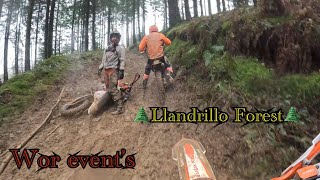 enduro Llandrillo Forest wor events 311222 [upl. by Nikola]