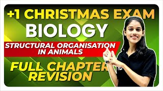 Plus One Christmas Exam  Biology  Structural Organisation in Animals  Full Chapter  Exam Winner [upl. by Abehshtab83]