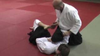 Przemysław BOBKOWSKI  4 dan aikido [upl. by Moscow720]