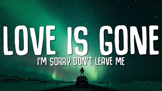 SLANDER  Love is Gone Lyrics ft Dylan Matthew Acoustic quotIm sorry dont leave mequot [upl. by Scribner372]