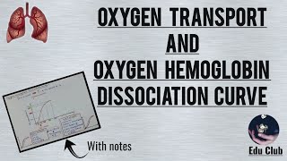 Oxygen transport and Oxygen Hemoglobin Dissociation Curve  Respiratory Phsyiology [upl. by Alyakcm]