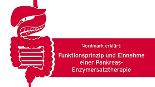 Funktionsprinzip und Einnahme einer PankreasEnzymersatztherapie [upl. by Gosser]