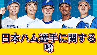 日本ハム選手の噂が新垣のYouTubeチャンネルで広まる【プロ野球反応集】 [upl. by Ahsuatal]