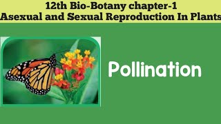 12th biobotany chapter1 Asexual And Sexual Reproduction In Plants POLLINATION 12th SCERT [upl. by Onida]