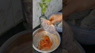 💥 Grill fish🐠🐟 masala😡😋minivlog 155  Dec 9 malaikkalaanchannel shortsfeed fish [upl. by Ordep]