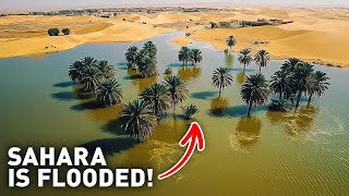 Sahara Desert Was Dry for 50 Years Now Its Flooded How Come [upl. by Arod]