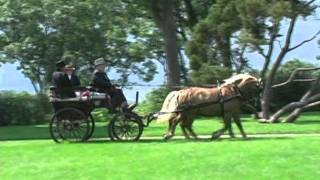 Horse amp Carriage at Boscobel Restoration Garrison NY [upl. by Nike]