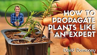 How to propagate plants like an expert  David Domoney [upl. by Darsie]