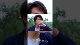 霸總捨命追妻被車撞，灰姑娘哭著立馬擁吻霸總shorts戀戀不忘LovingNever Forgetting [upl. by Akinas]