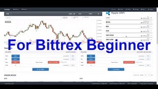 How to set Buy amp Sell orders on Bittrex [upl. by Anitsugua551]