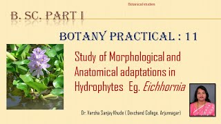 Study of Hydrophytes eg Eichhornia [upl. by Ostler505]