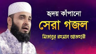 সেরা গজল  Hazaro Betha Bedonar Por Mizanur Rahman Azhari [upl. by Newol]