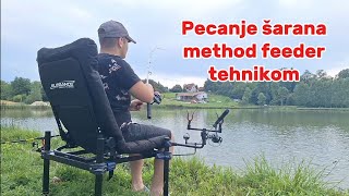 Pecanje šarana  method feeder tehnikom  jezero peca mladenovac [upl. by Hsirrehc]