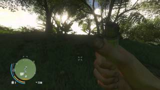 Far Cry 3  Loot Chests South East from Amanaki Town [upl. by Hiett]