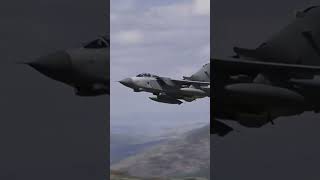 SweptWing RAF Tornado Mach Loop Flyby shortsvideo airforce plane [upl. by Nnel59]