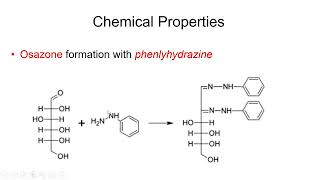 Carbohydrates Physical and Chemical Properties  Lecture 6b [upl. by Yetnruoc]