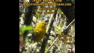 Managing Nest Boxes for Prothonotary Warblers by Andy Paulios [upl. by Ku]