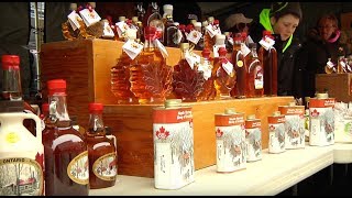 Maple Syrup Festival 2016 in Elmira Ontario [upl. by Slayton159]