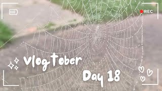 Vlogtober Day 18  Bookcase swapping and organising [upl. by Bianca]