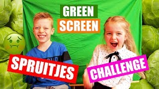 GREEN SCREEN SPRUITJES CHALLENGE ♥DeZoeteZusjes♥ [upl. by Glynnis]