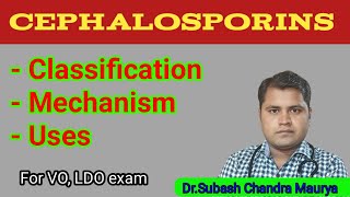 Cephalosporin antibiotics and its ClassificationCrazy Vet ClassesVOLDO Preparation [upl. by Lanfri]