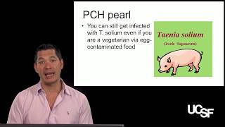 Peter ChinHong MD Helminths Part 3 Flukes and Tapeworms [upl. by Neyr]