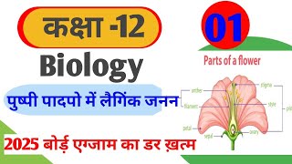 पुष्पी पौधो मे जनन  Reproduction in flowering plants angiosperm plant  class 12 Biology in hindi [upl. by Ymor]