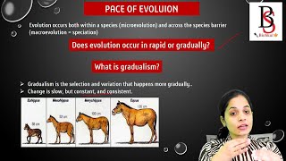 Pace Of Evolution Gradual and Punctuated Equilibrium [upl. by Dnalkrik]