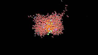 Molecular dynamics simulation of a solvated hydrophilic folded polymer chain [upl. by Suolhcin]