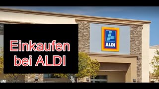 Lebenshaltungskosten USA  Heute mal ALDI [upl. by Tatum]