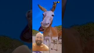 मेरे जेशा q krta h comedy ajaypop funny abcvlogs [upl. by Yael]