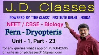 Dryopteris  Fern  Class 11  NEET  CBSE Unit 1  Part 23 [upl. by Euqinommod]