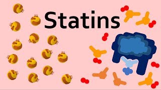 Statins and Cholesterol [upl. by Modestine]