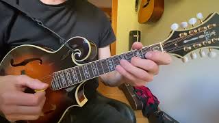 The Swallowtail jig mandolin [upl. by Jamieson953]