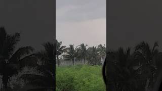 🌧 செம்ம மழை எங்க ஊருல ☔️ rain rainlover nature shortsvideo shorts [upl. by Letsirc]