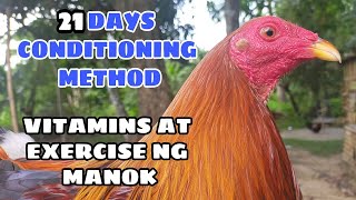 21 DAYS CONDITIONING METHOD vitamins amp exercise ng mga manok  BALERIANS GAMEYARD [upl. by Asilrak]