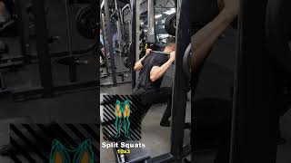 Master the Smith Machine for INSANE Leg Gains [upl. by Nnairek351]