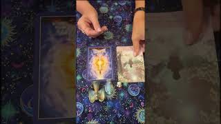 Aquarius 831912024 aquarius tarot tarotreading spirituality relaxing [upl. by Longerich]