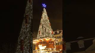 Bonn Christmas Market fantastic city 🇩🇪 bonn christmas germany [upl. by Birkner24]