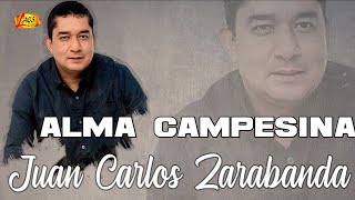 Juan Carlos Zarabanda  Alma Campesina Audio Oficial  Música De Despecho [upl. by Aihsinat265]