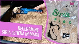 Lettiera vegetale agglomerante Siria la mia recensione [upl. by Akerue]