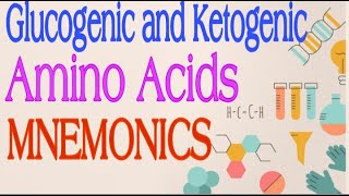 Glucogenic and Ketogenic Amino Acids MNEMONICS  Lecture 3 [upl. by Inat363]