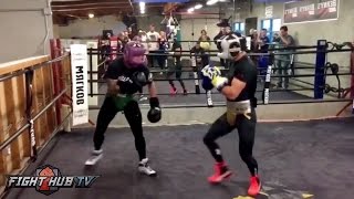 TJ Dillashaw vs Vasyl Lomachenko  BOTH GO AT IT IN MMA VS BOXING HEATED SPARRING [upl. by Neirad]