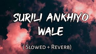 Surili Ankhiyo Wale   Slowed  Reverb  Lyrics  Use Headphones 🎧🎧 [upl. by Marybella]