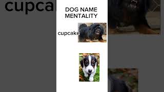 Dog name mentality be like [upl. by Rehpoitsirhc381]