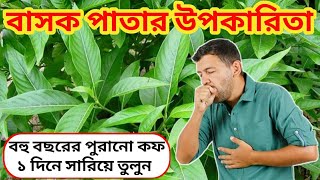 বাসক পাতার রসের উপকারিতা  Basak Patar Upokarita Bengali  Basok Patar Upokarita [upl. by Leanatan]