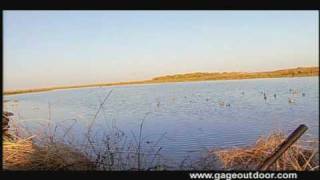 Duck Hunting Mexico with Pintail Lodge [upl. by Etteuqal]