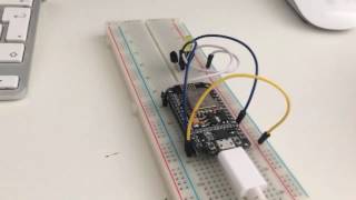 IoT Temperature Sensor  Nodemcu ESP12E PHP Arduino HTML MySQL XAMPP [upl. by Christianna]