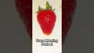 Fresa Hace Mewing Parte 2 🍓 fresa mewing humor berville [upl. by Nylodam]